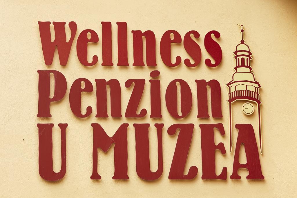Wellness Penzion U Muzea Liberec Exterior foto